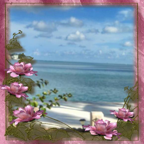 patsy_m
